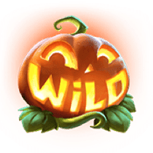 wild Mr. HallowWin